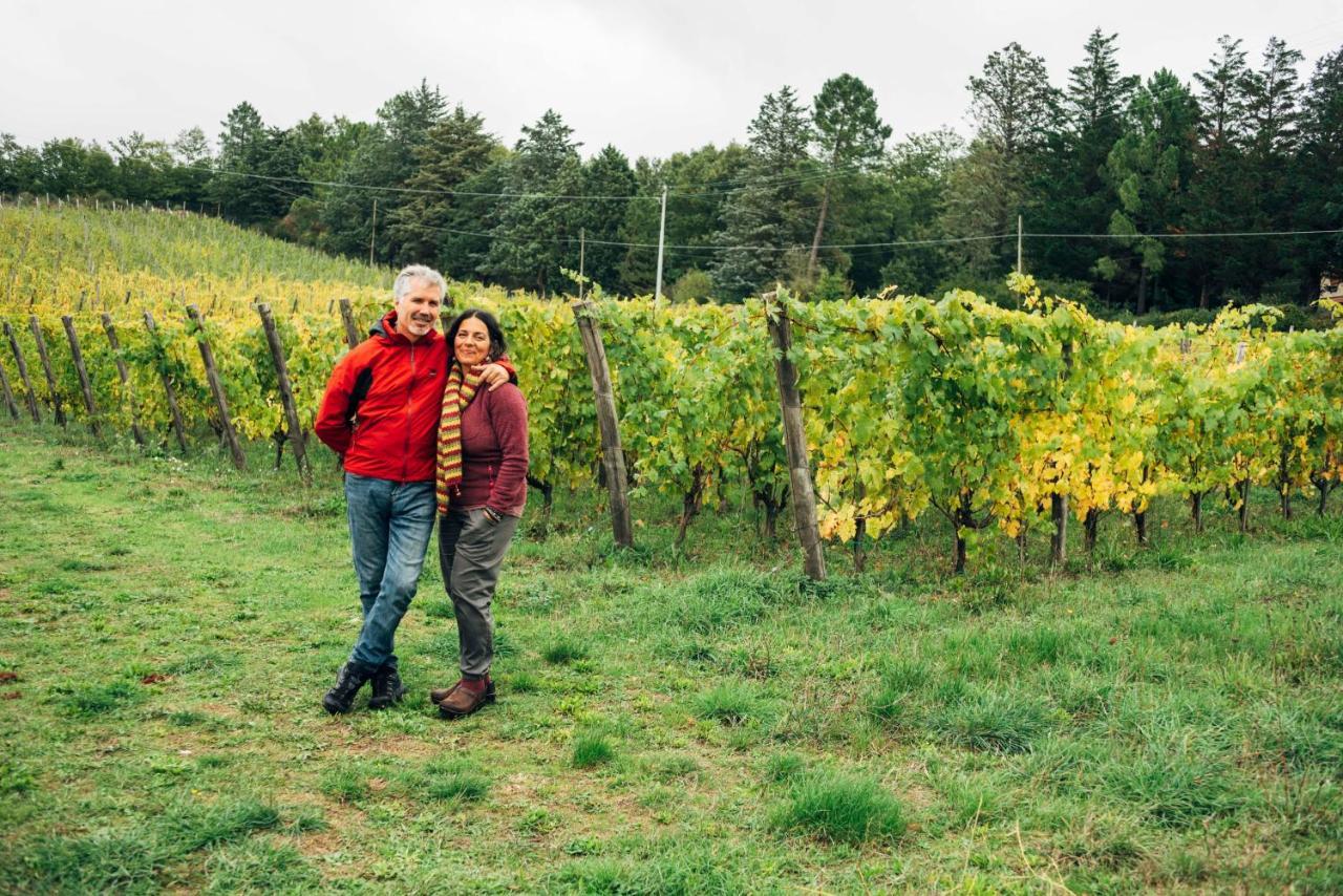 Podere Orto Wine Country House Trevinano Eksteriør bilde
