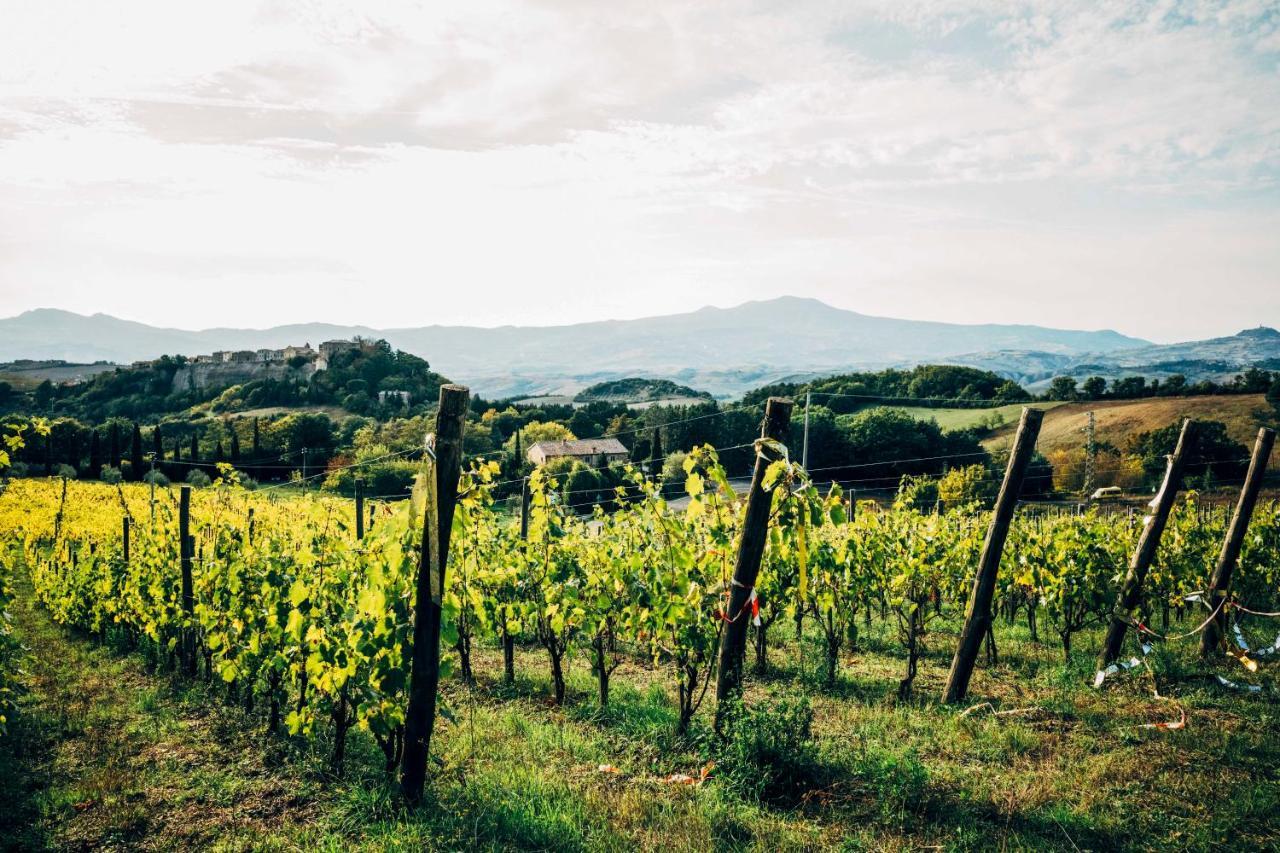 Podere Orto Wine Country House Trevinano Eksteriør bilde