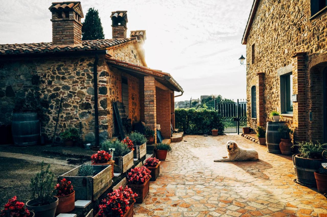 Podere Orto Wine Country House Trevinano Eksteriør bilde