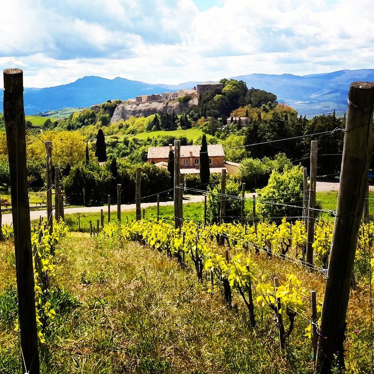 Podere Orto Wine Country House Trevinano Eksteriør bilde