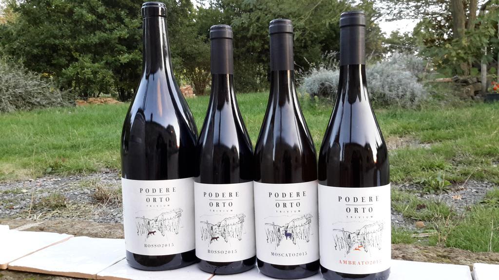 Podere Orto Wine Country House Trevinano Eksteriør bilde